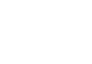 logo el artista blanco